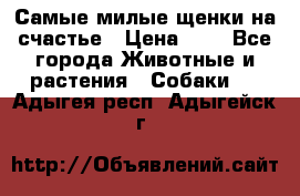 Самые милые щенки на счастье › Цена ­ 1 - Все города Животные и растения » Собаки   . Адыгея респ.,Адыгейск г.